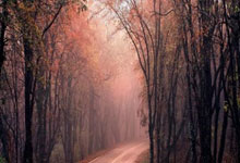 合法买球app -北京长辛店街道(dào)召开2026年(nián)反(fǎn)詐(zhà)宣防活动